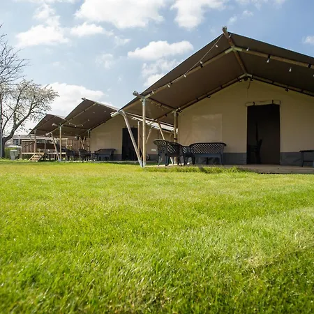De Boomgaard * Maaseik